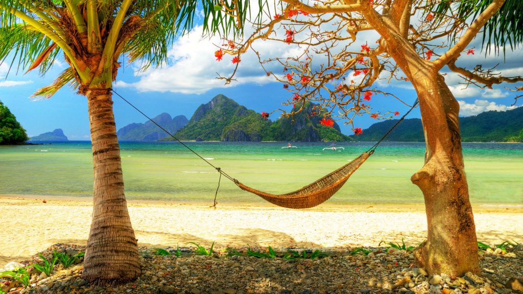 С гамаком под деревом на тропическом пляже обои скачать