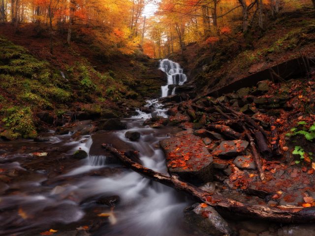 Осенний лес водопад