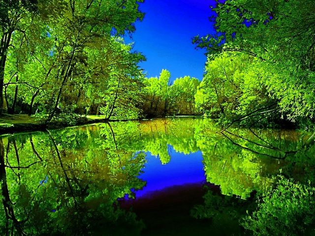 Река между зелеными деревьями лес с отражением голубого неба и деревьев природа