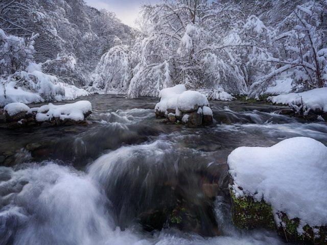 Ручей водопад река между лесом лес зима