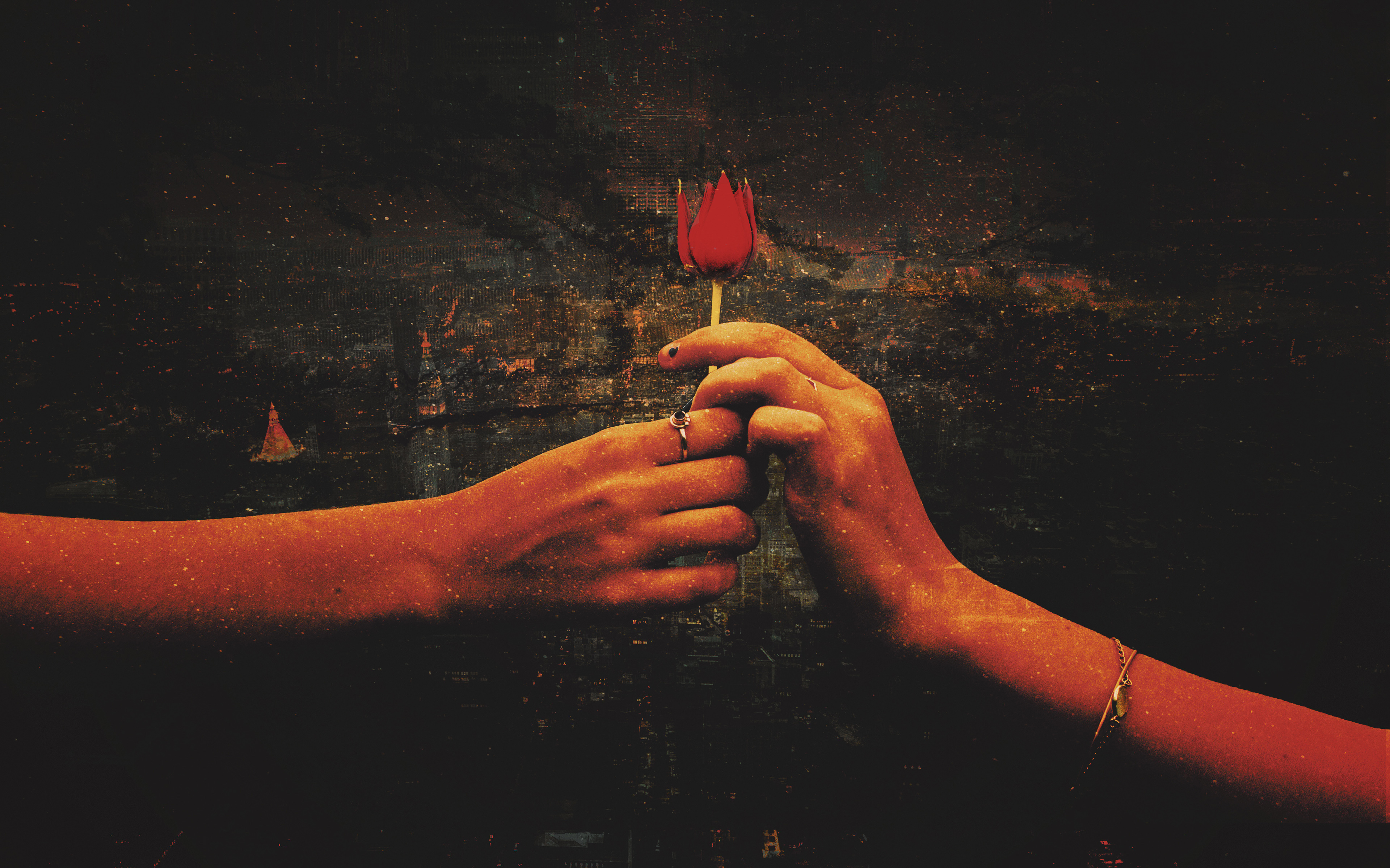 Предложение красный любовь роза обои скачать