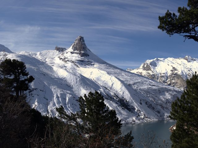Заснеженные сосны и пейзаж горной вершины зима