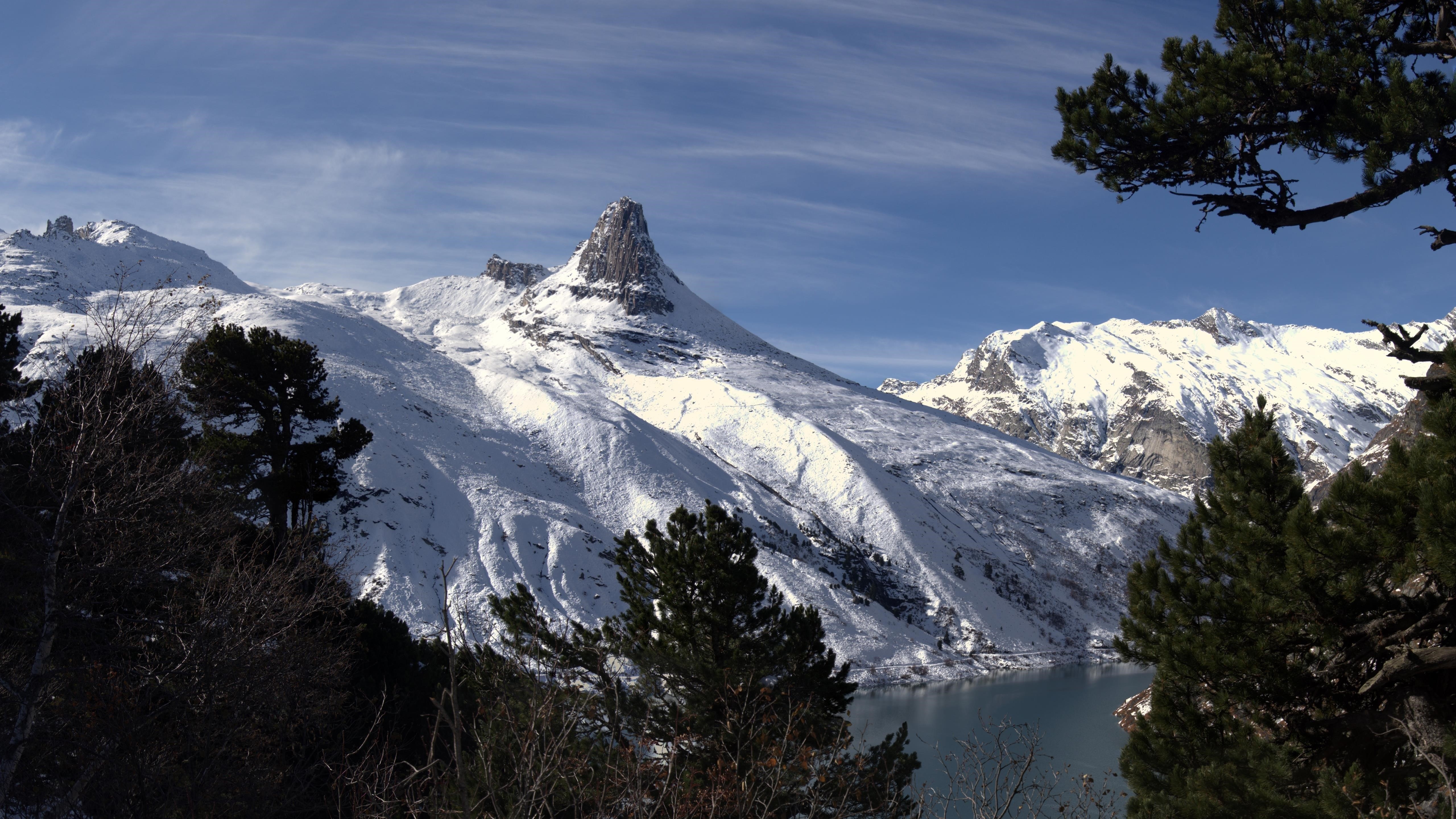 Заснеженные сосны и пейзаж горной вершины зима обои скачать