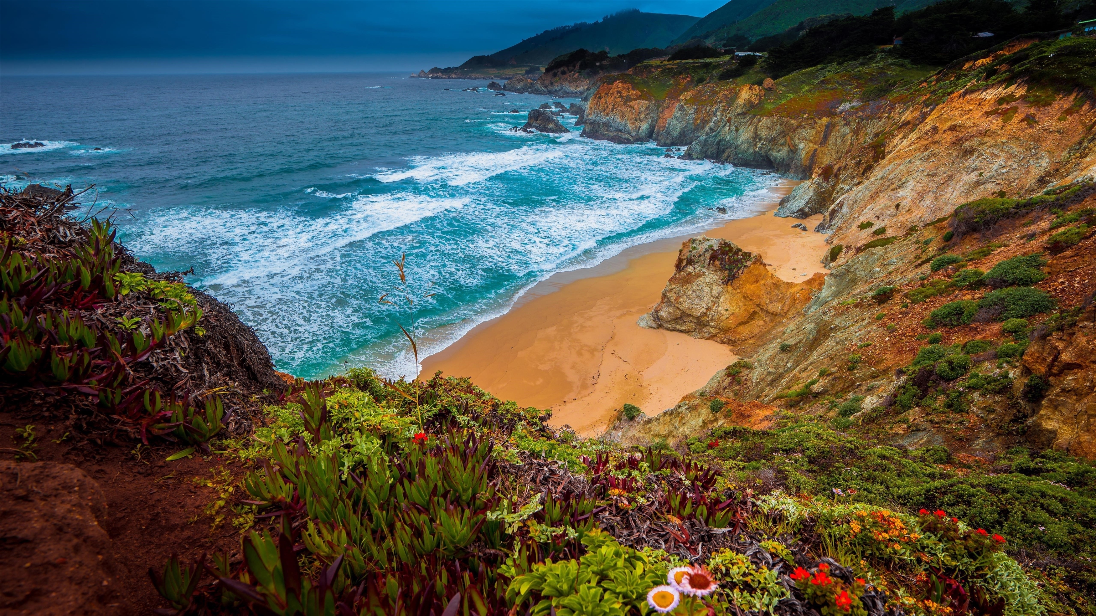 Джулия Пфайффер Бернс государственный парк калифорнийское побережье с цветами природа обои скачать