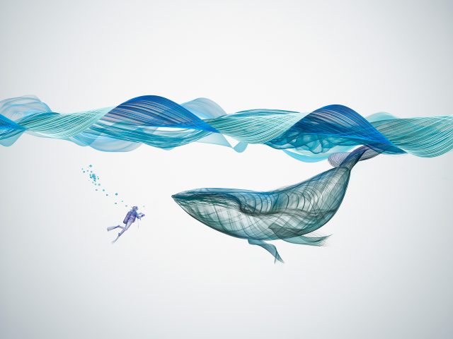 Иллюстрация подводного кита