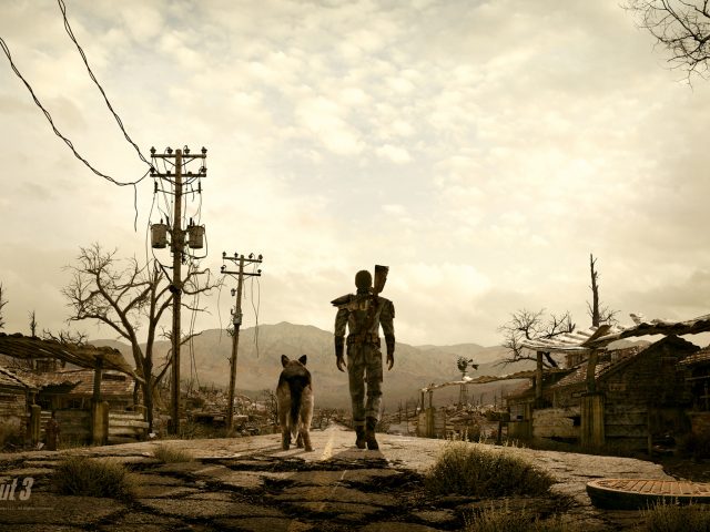 Fallout,  3,  человек