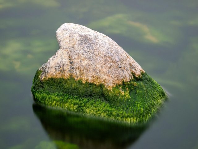 Зеленый покрытый камень земли между водой в дневное время природа
