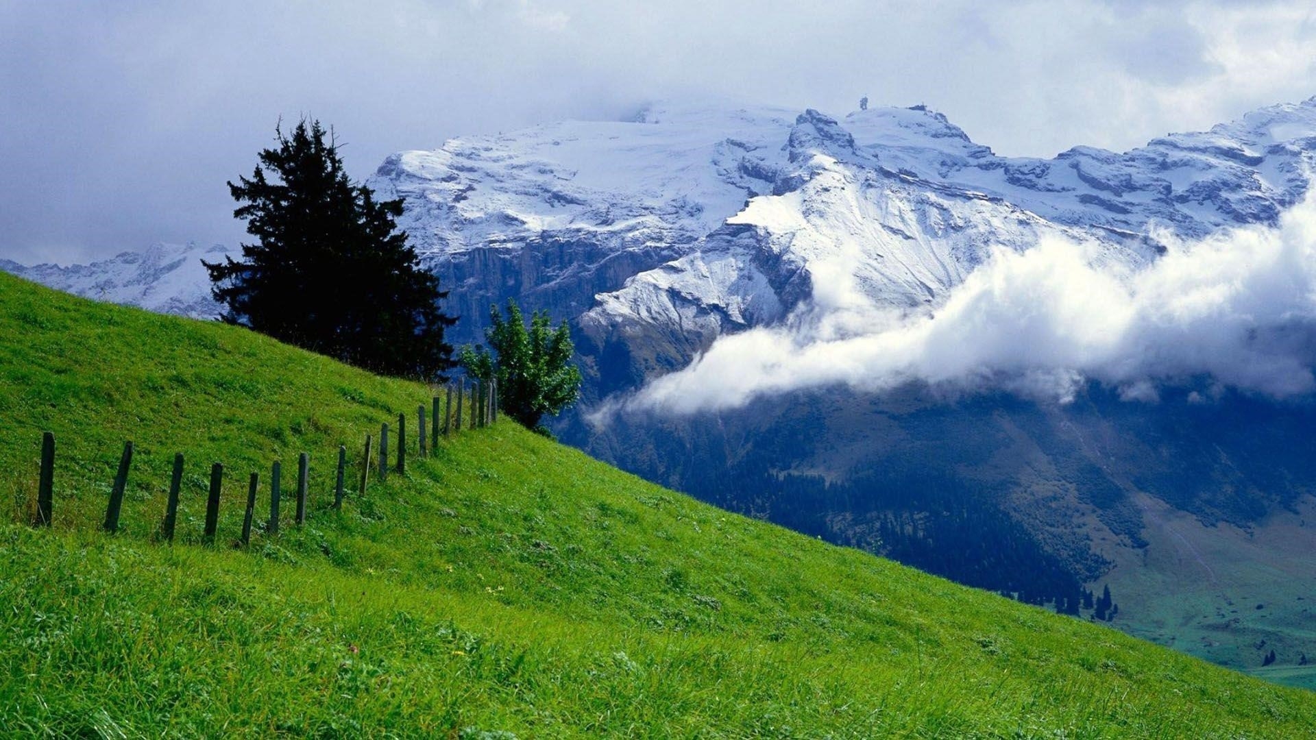 Пейзаж заснеженных гор с туманом и зеленой травой покрытой горной природой обои скачать