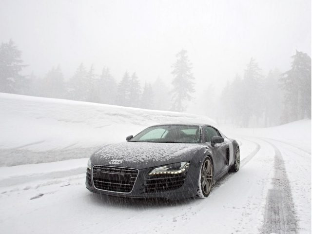 Audi,  R8