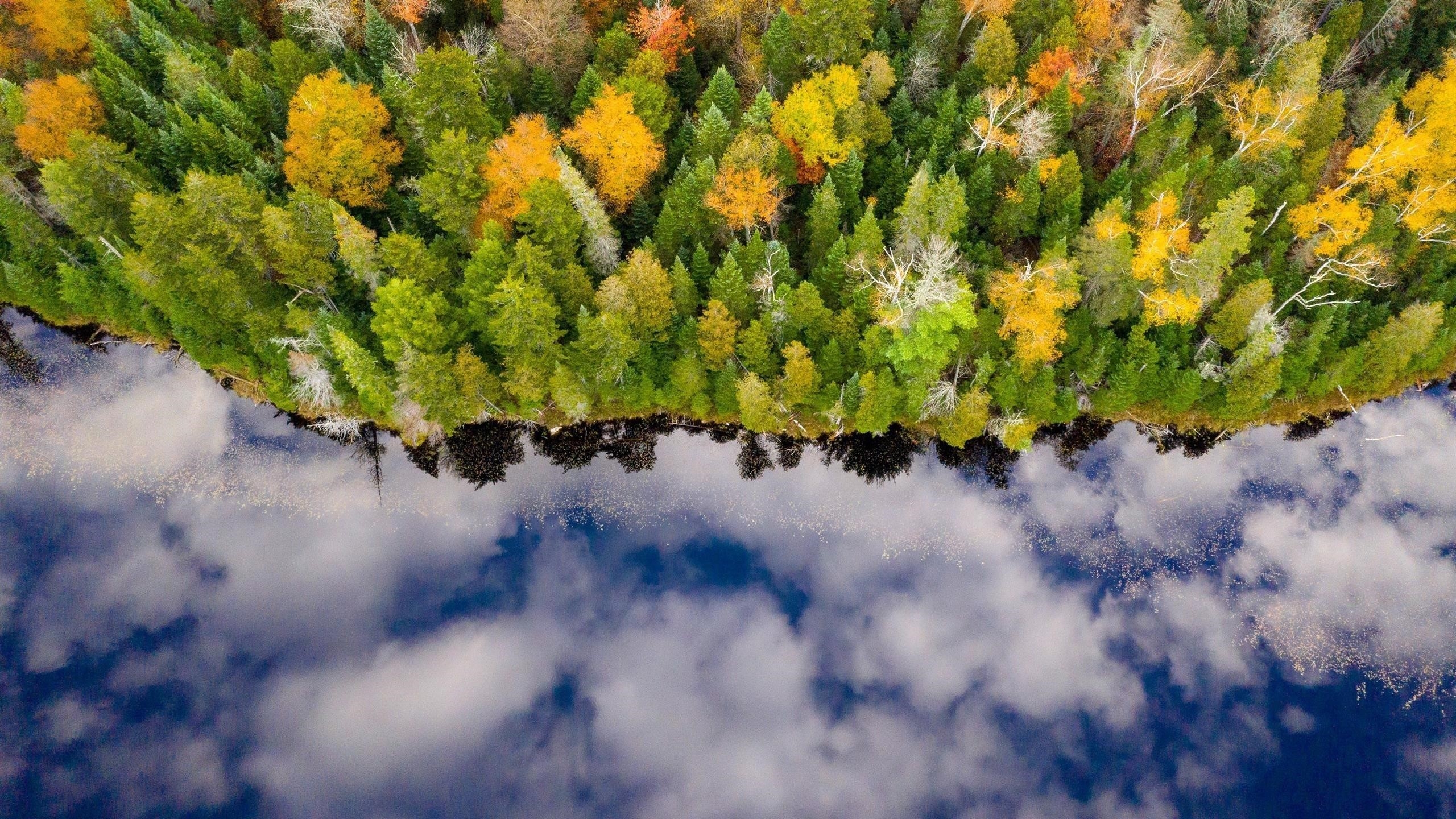 Аэрофотоснимок осеннего леса с отражением голубого облачного неба на речной природе обои скачать
