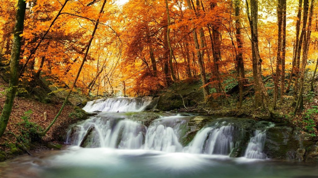 Водопады струятся по покрытым водорослями скалам между желтыми весенними листьями осенних деревьев лесная природа обои скачать