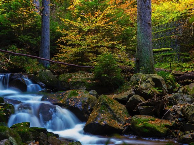 Водопад ручей между покрытых водорослями скал в окружении деревьев природа