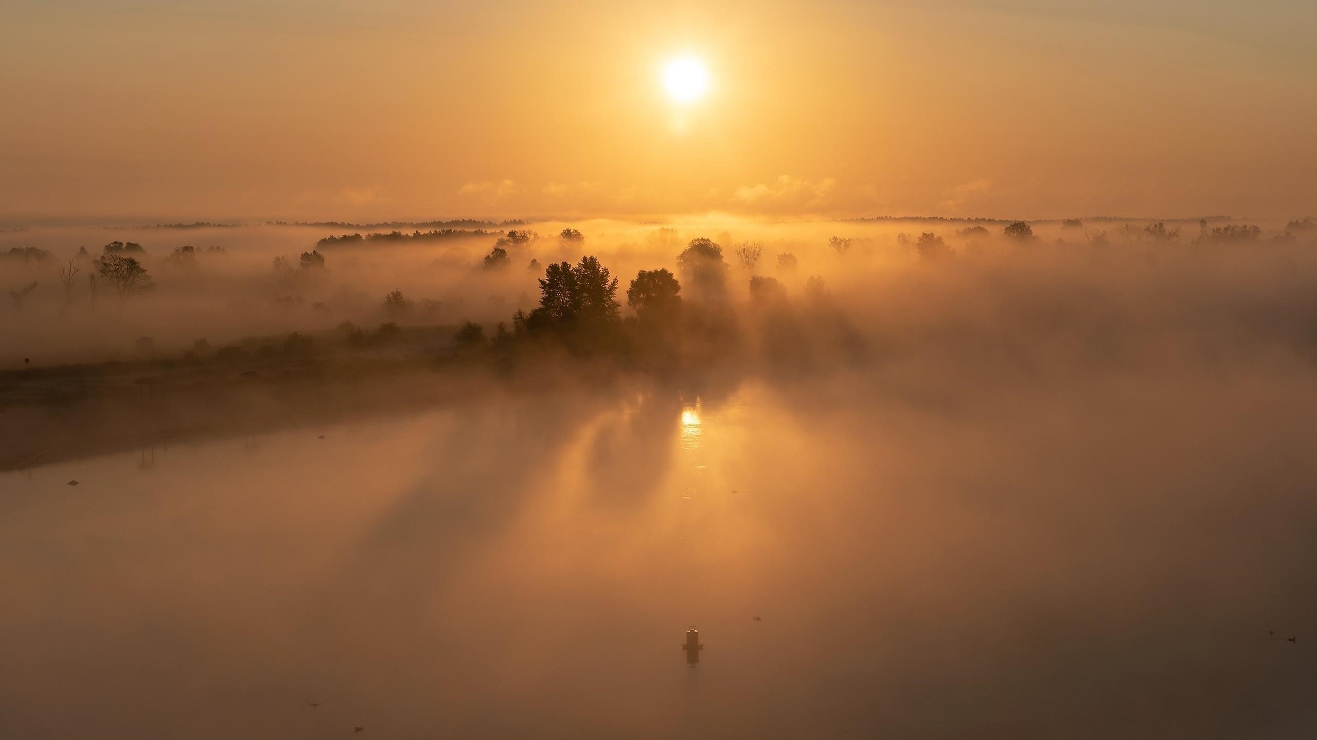 Природа восход солнца горизонт с туманом природа обои скачать