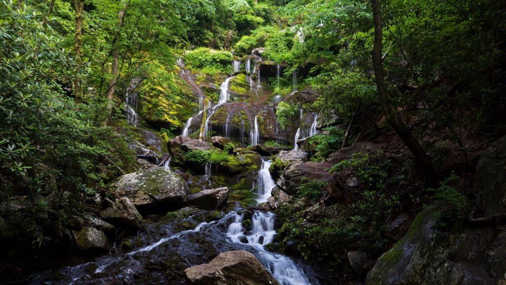 Водопады струятся по скалам зеленые деревья покрыты лесной природой обои скачать