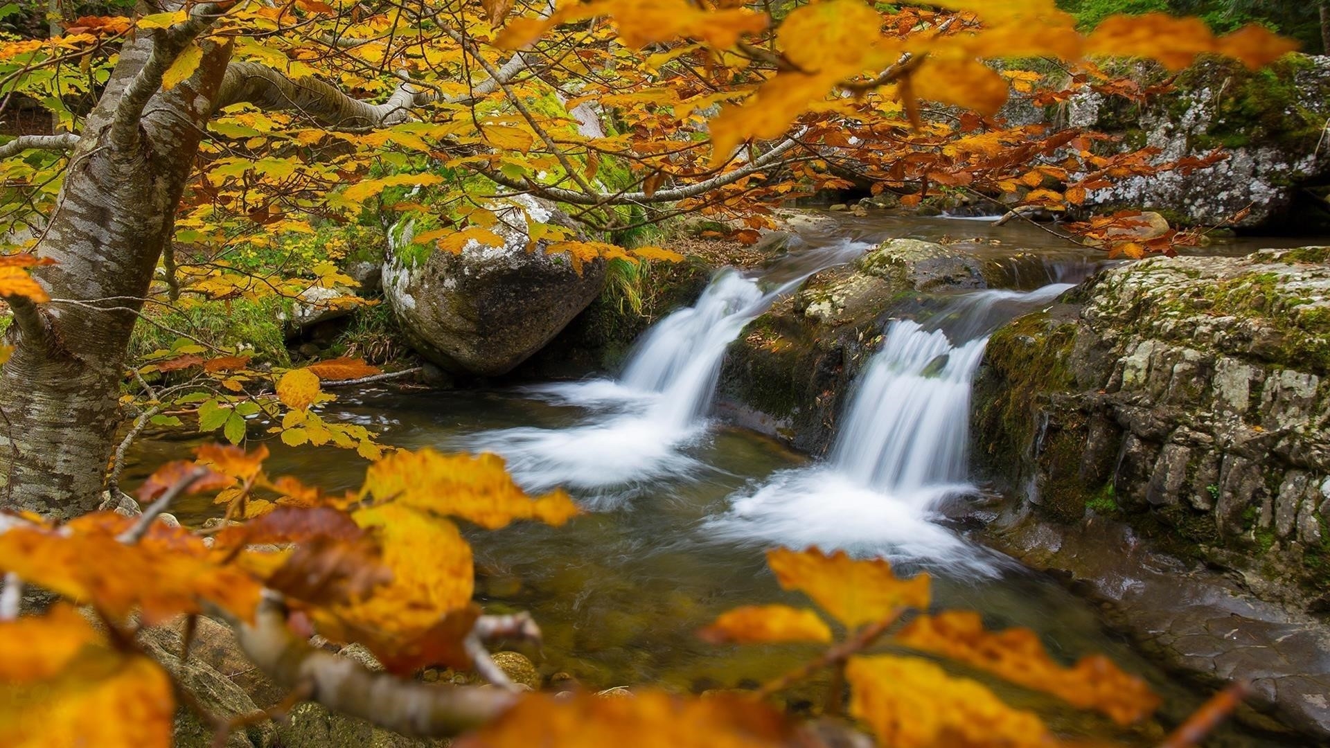 Водопады река и деревья с желтыми листьями во время осенней природы обои скачать