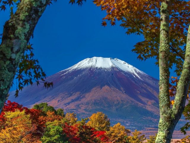 Пейзаж бело фиолетовой покрытой горы под голубым небом и красочными осенними деревьями природы