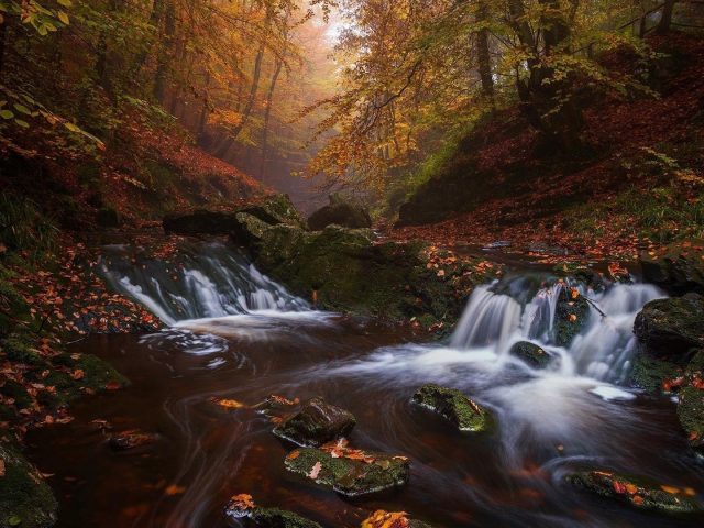 Водопад в осеннем лесу природа