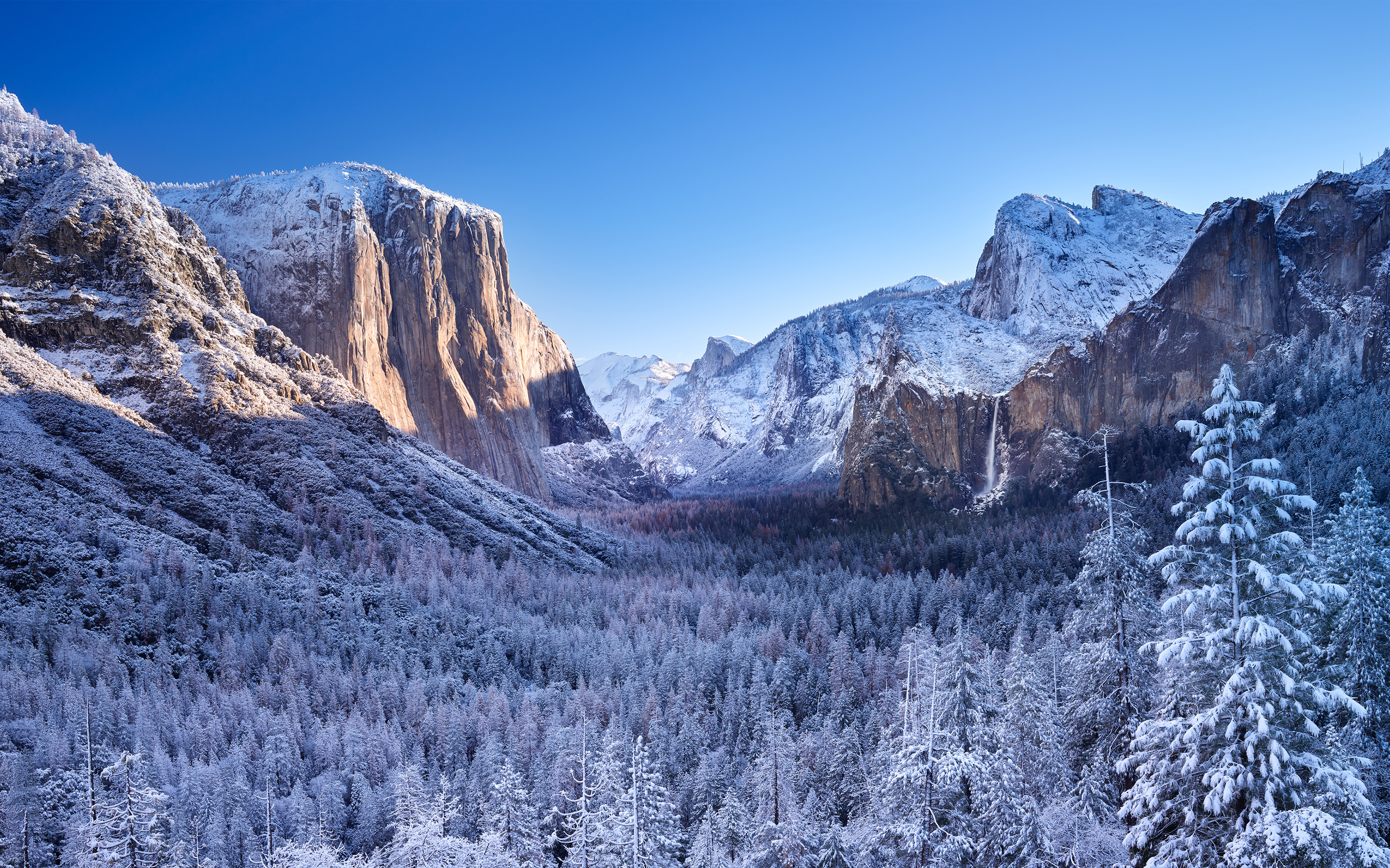 Yosemite national park winter. обои скачать