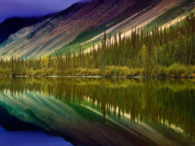 Пейзаж красочных гор и водоема с отражением деревьев природа
