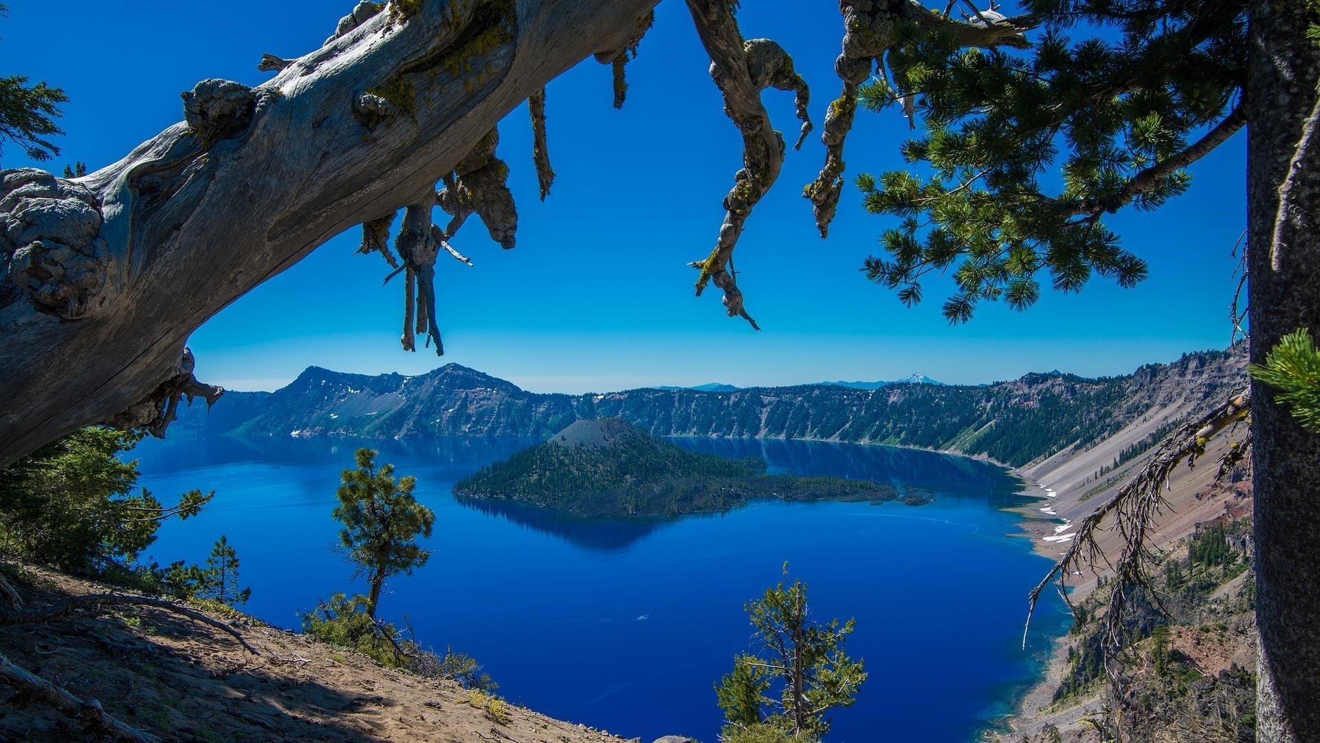 Пейзажный вид на озеро кратер национальный парк Остров Орегон дерево природа обои скачать