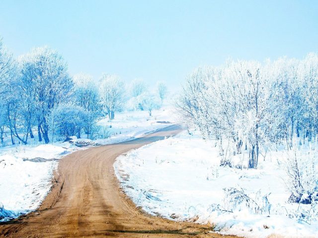 Песчаная дорожка между заснеженными деревьями поле природа