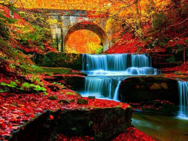 Водопад ручей между скал с красными листьями и разноцветными деревьями покрытый лесом с мостом природа