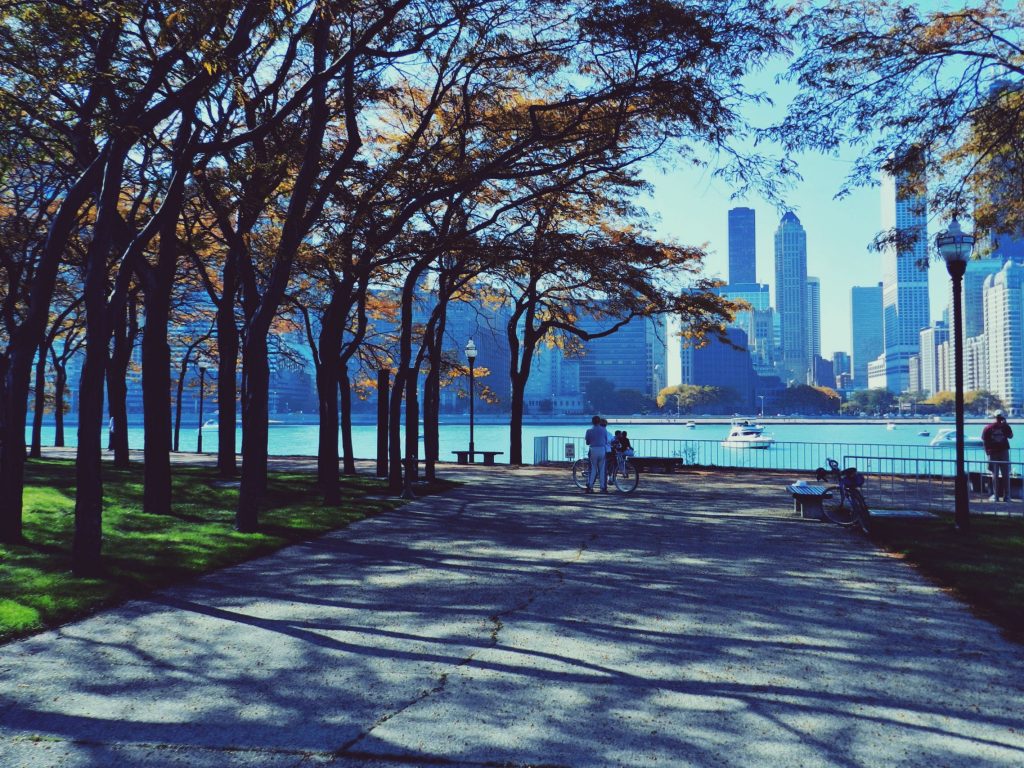 Chicago, чикаго, небоскребы, парк обои скачать
