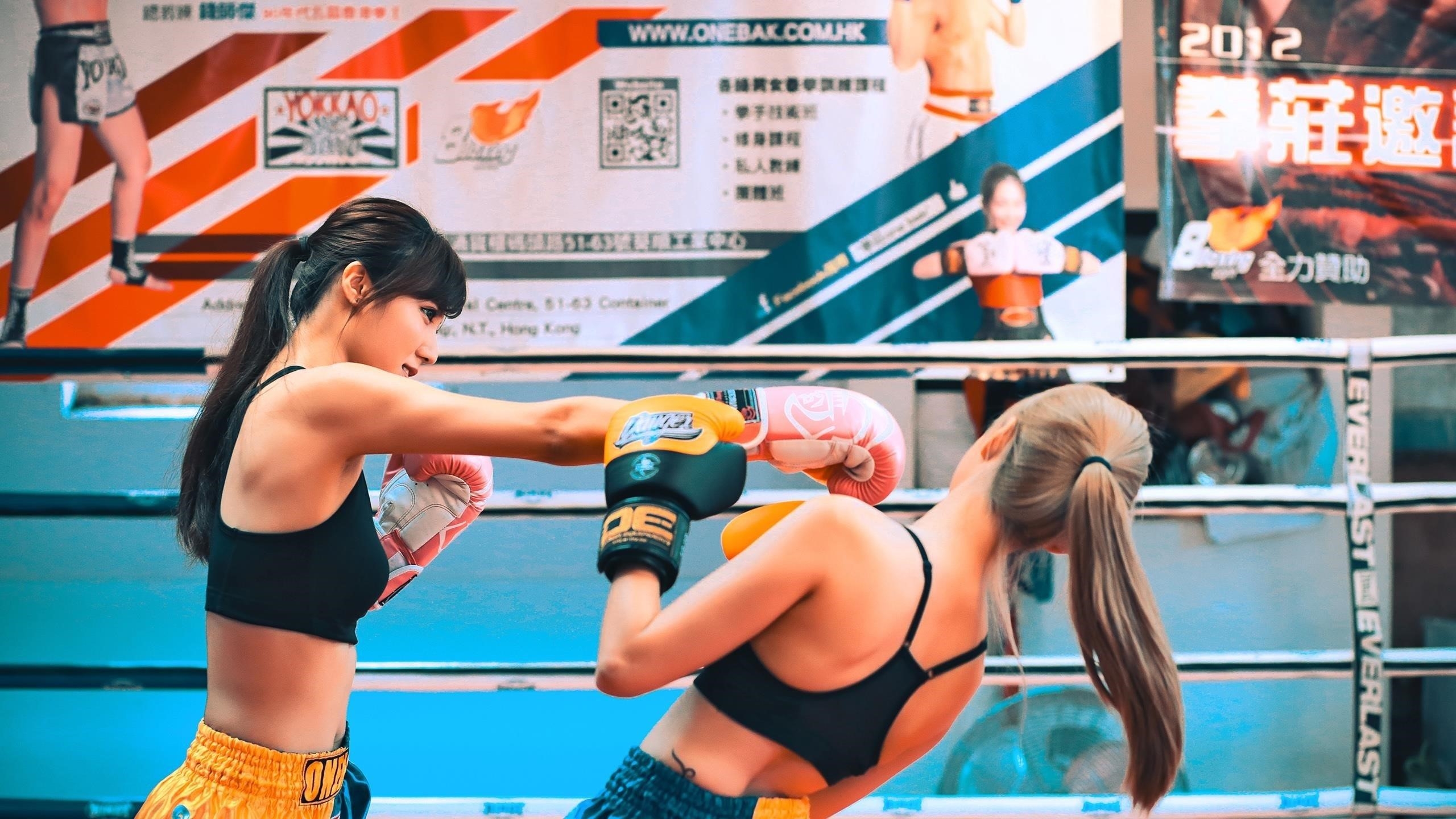 Две девушки дерутся на боксерском поле бокс обои скачать