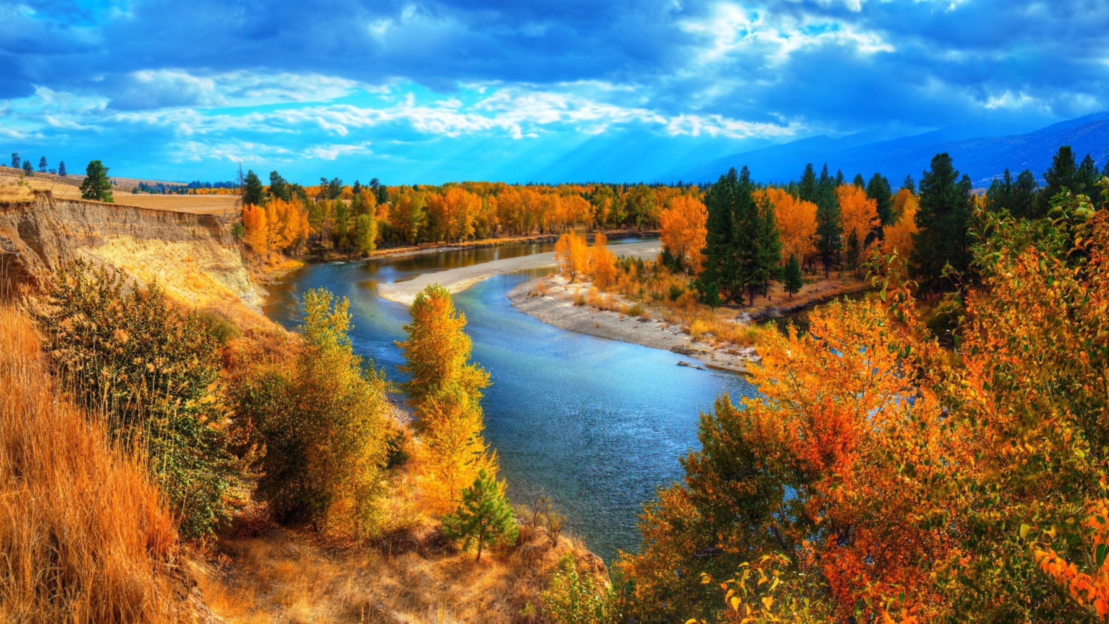 Река между осенними зелеными желтыми листьями деревьев под голубым небом природа обои скачать