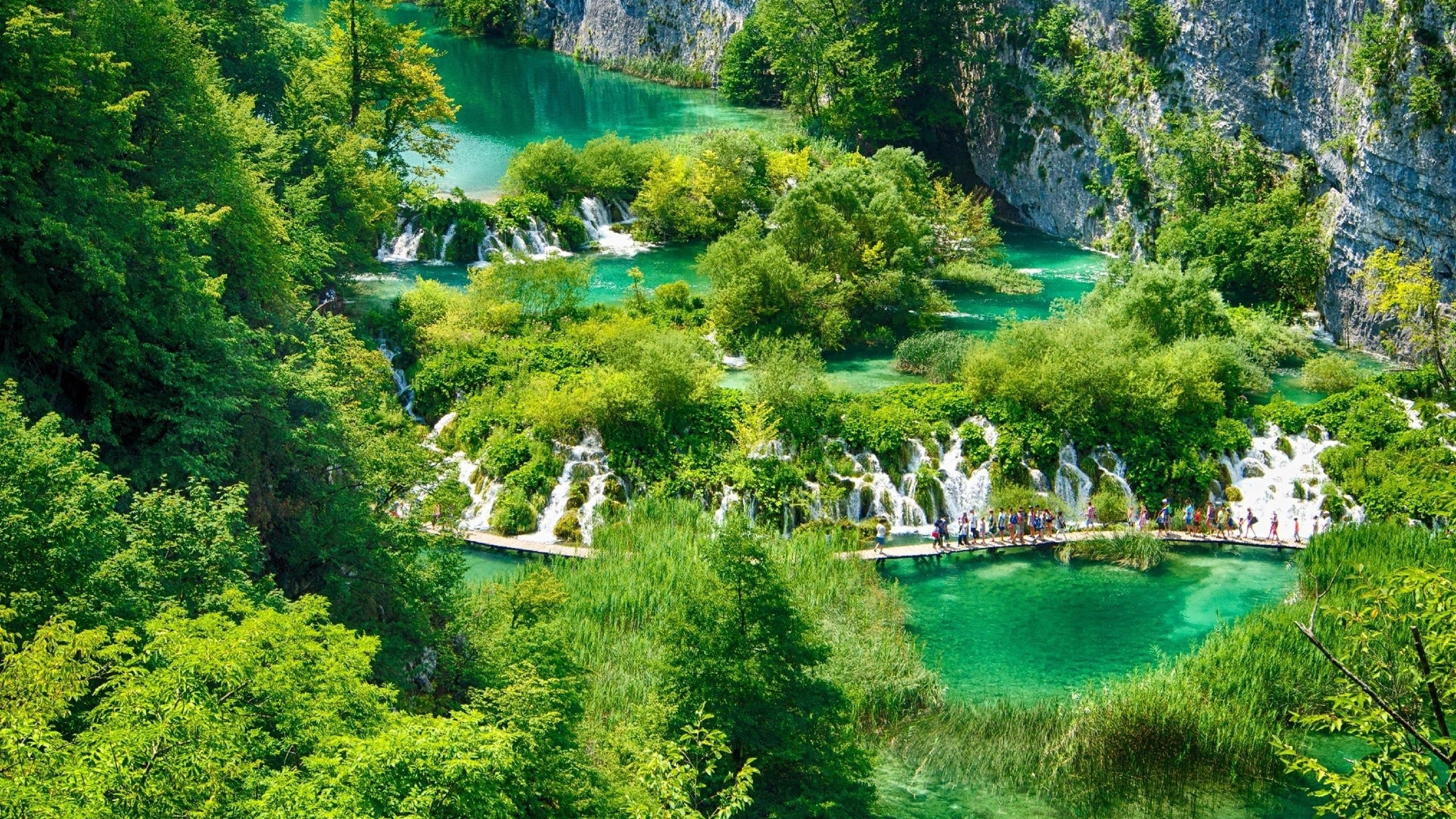 Белый причал между озерами водопад в окружении зеленых деревьев природа обои скачать
