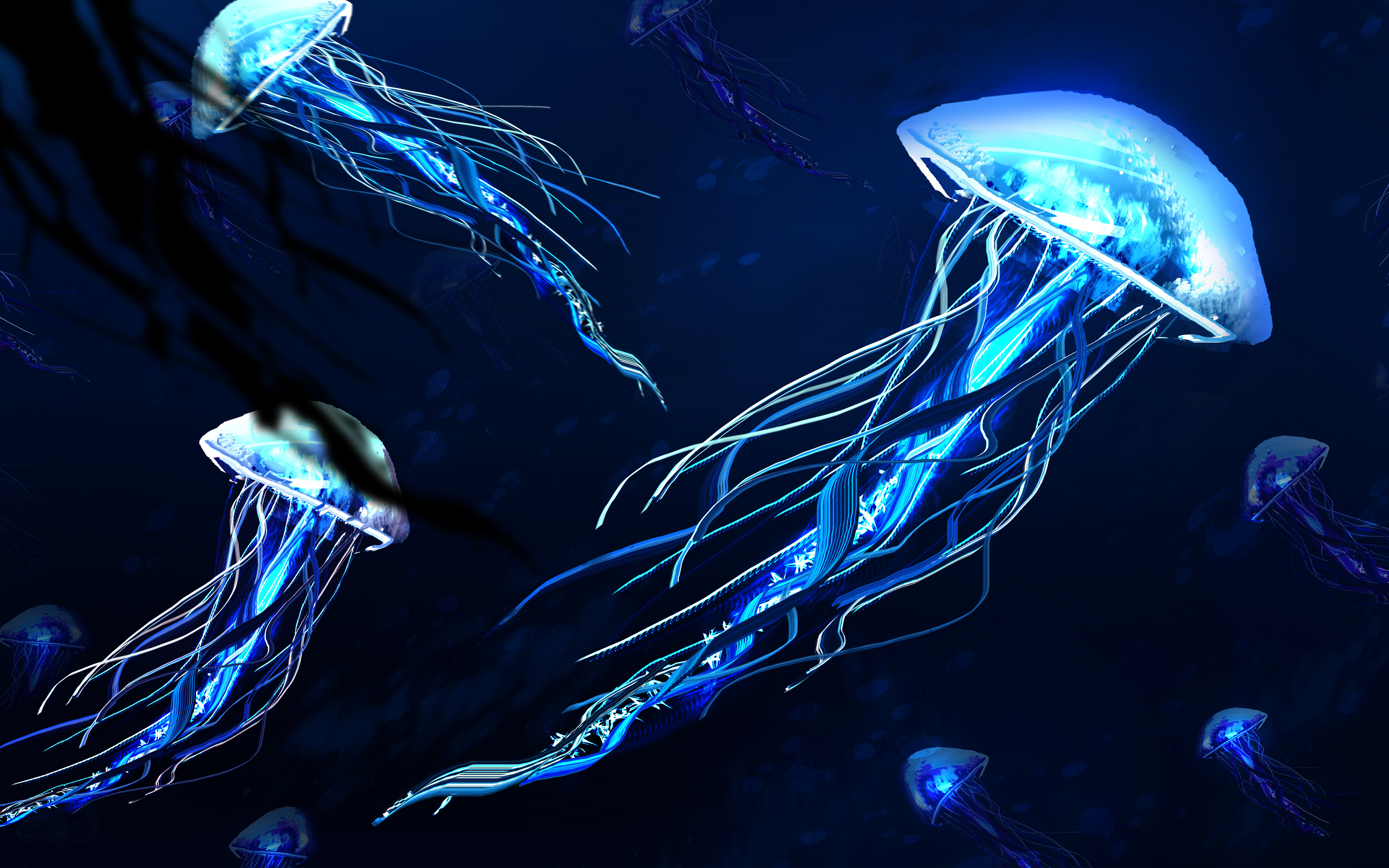 Медузы обои скачать