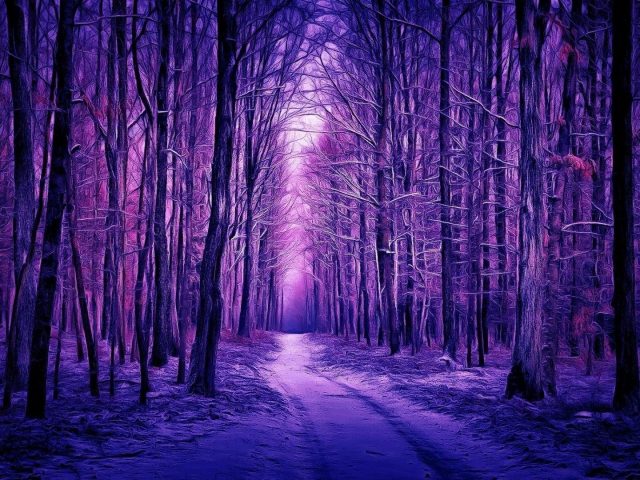 Тропинка между фиолетовыми деревьями лесная природа