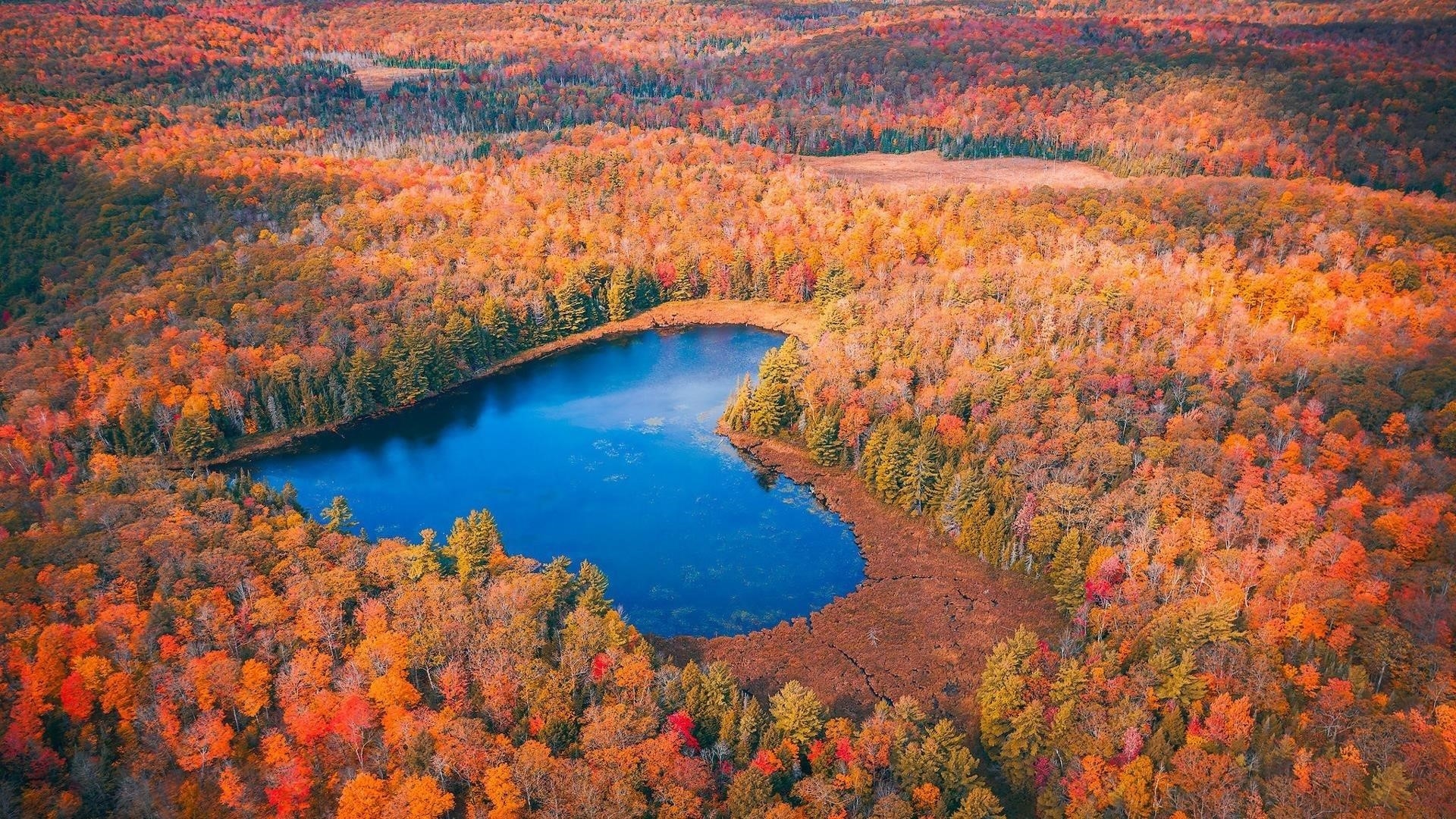 Аэрофотоснимок осеннего леса сердцевидная природа озера обои скачать