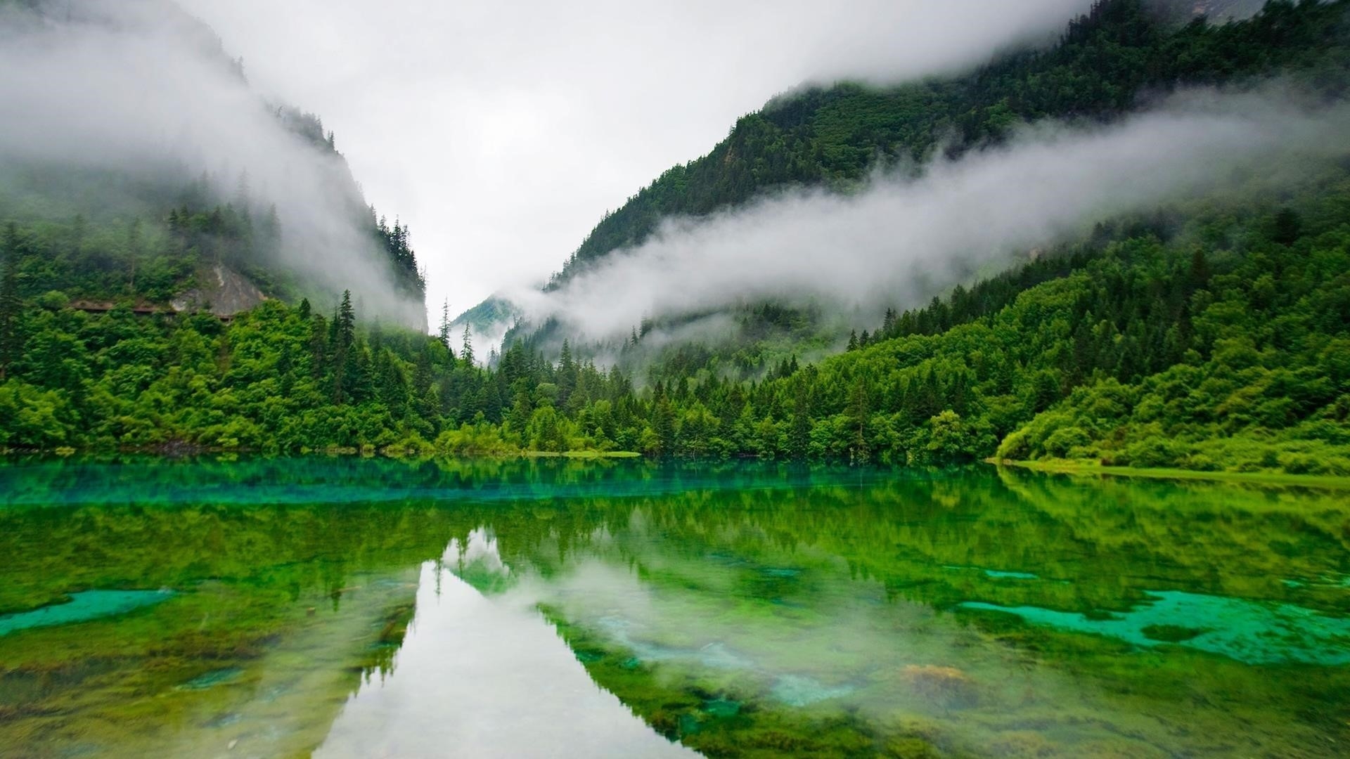 Пейзаж тумана лагуны леса горы с отражением на речной природе обои скачать