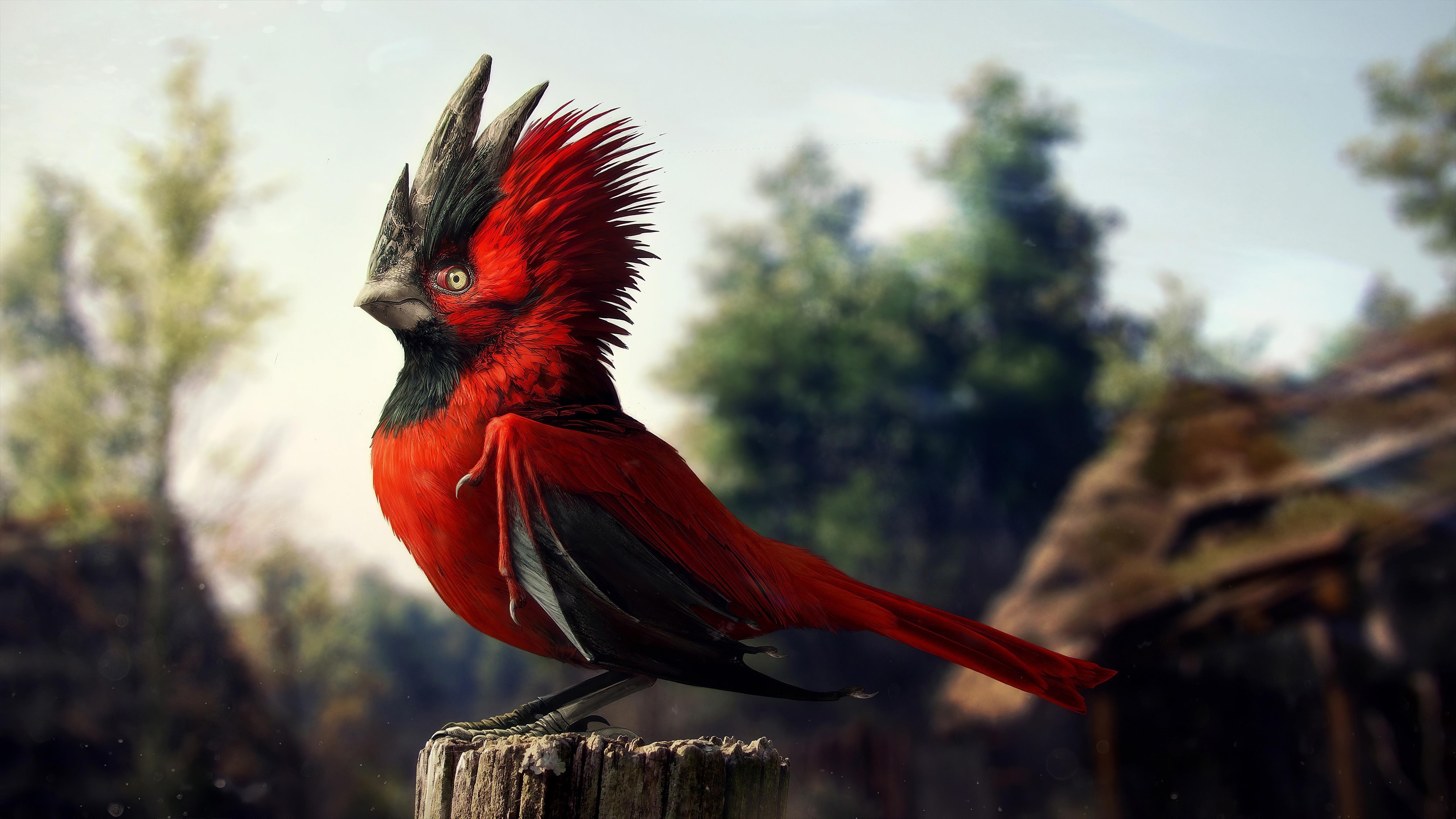 Красно черная птица стоит на стволе дерева в сине зеленом фоне деревьев животные обои скачать