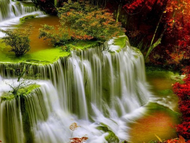 Вид сверху на зелень ручья водопады в окружении красочных осенних деревьев природа