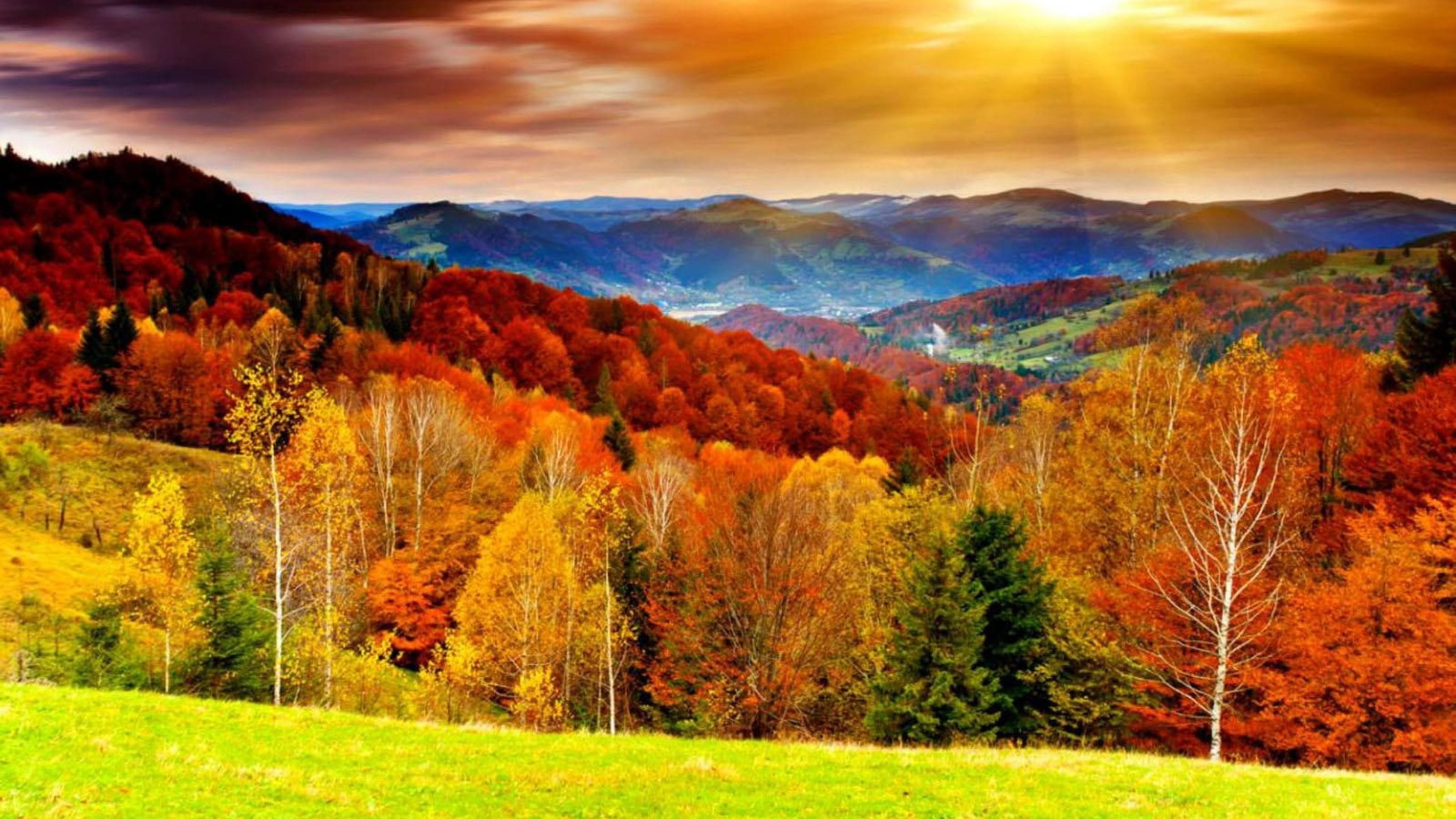 Красочные осенние лиственные деревья с солнечными лучами и пейзажным видом на природу гор обои скачать