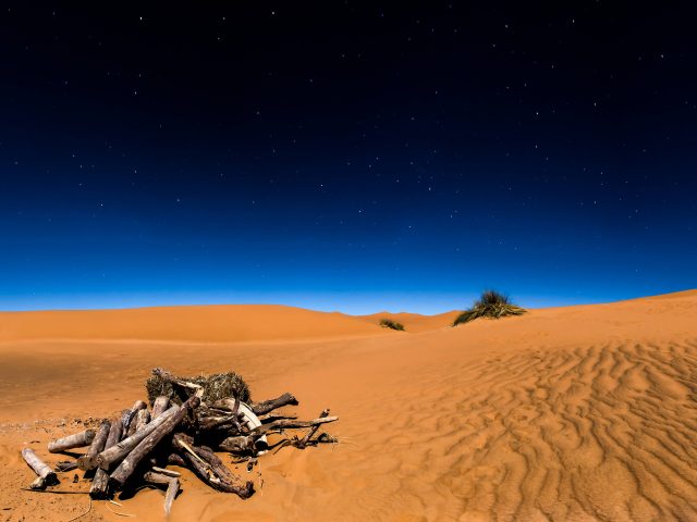 Sahara desert 8k.