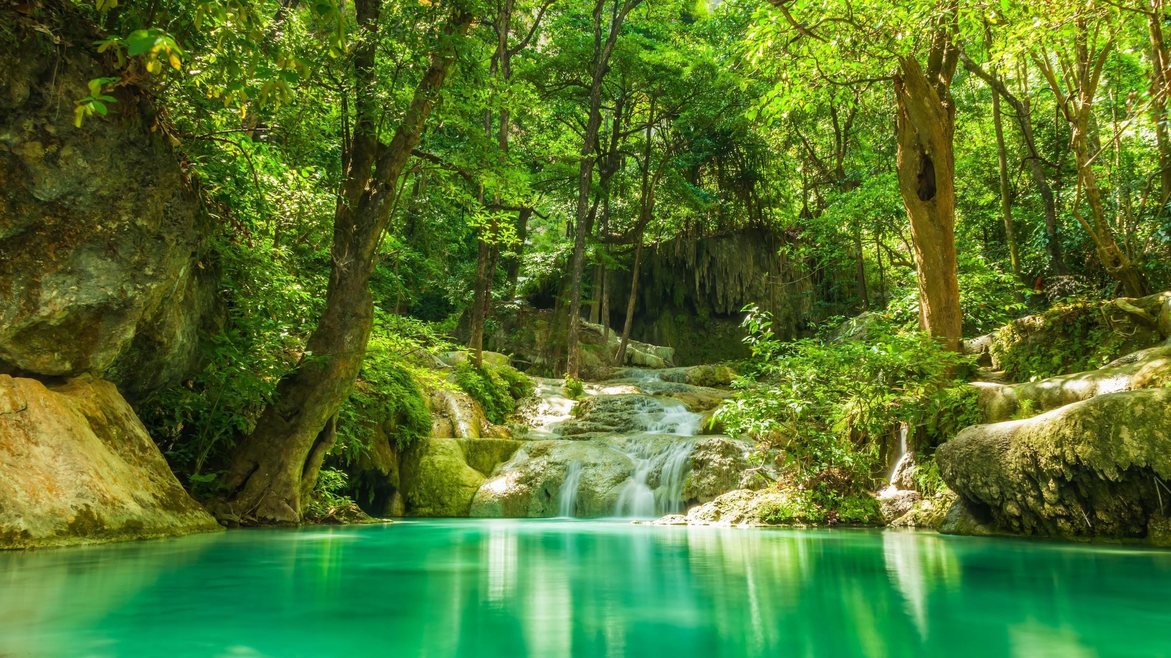 Водопады между зелеными деревьями с отражением деревьев на спокойной Озерной природе обои скачать