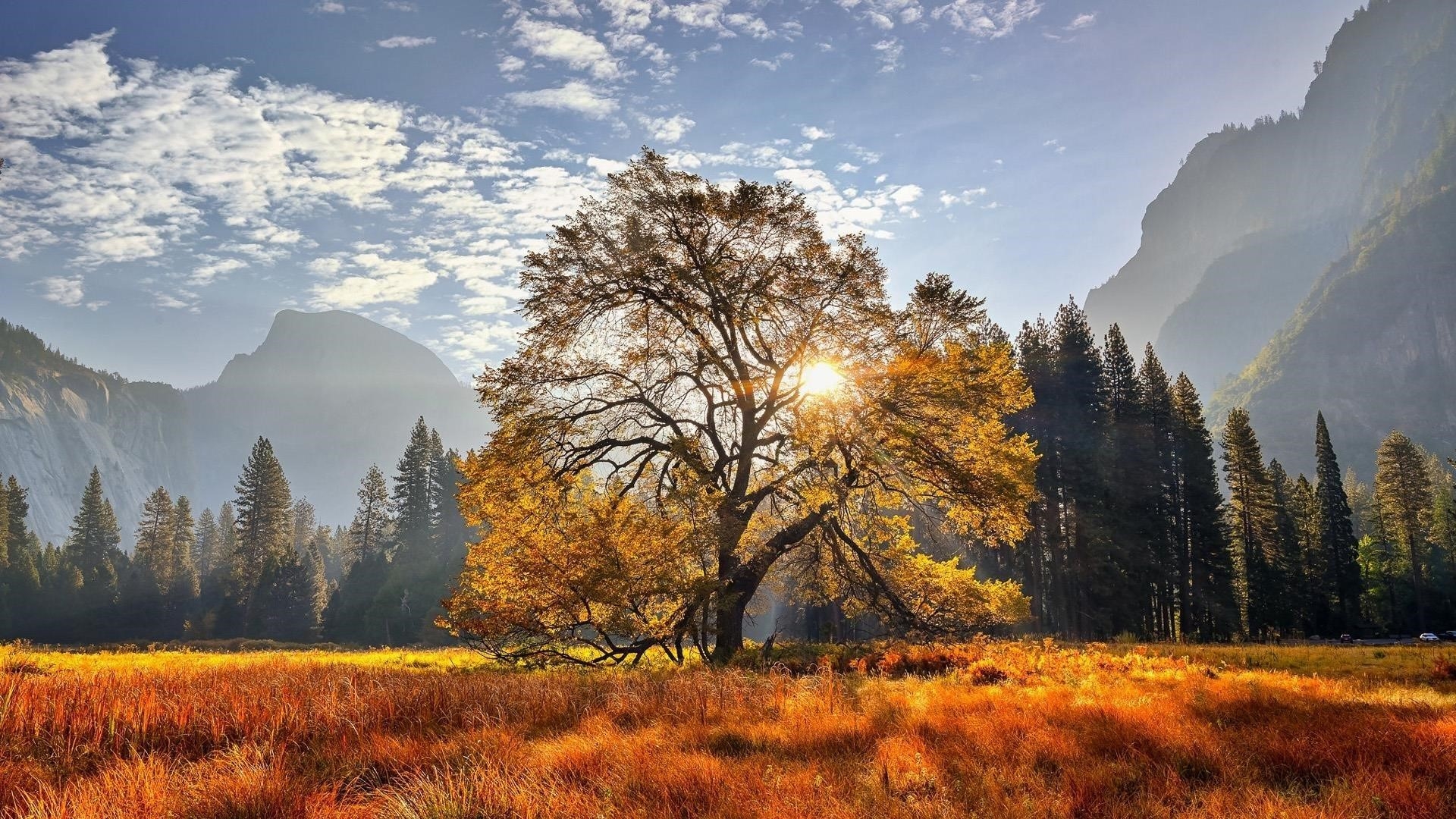 Йосемитский национальный парк Калифорния луг гора с деревьями природа обои скачать