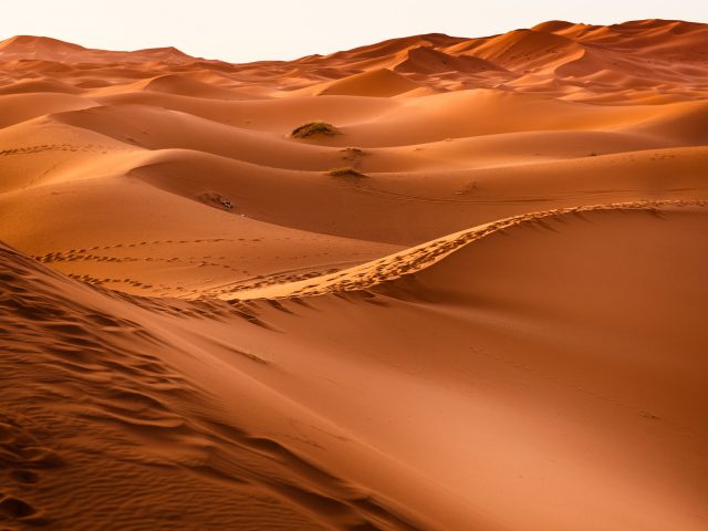 Песок пустыни.