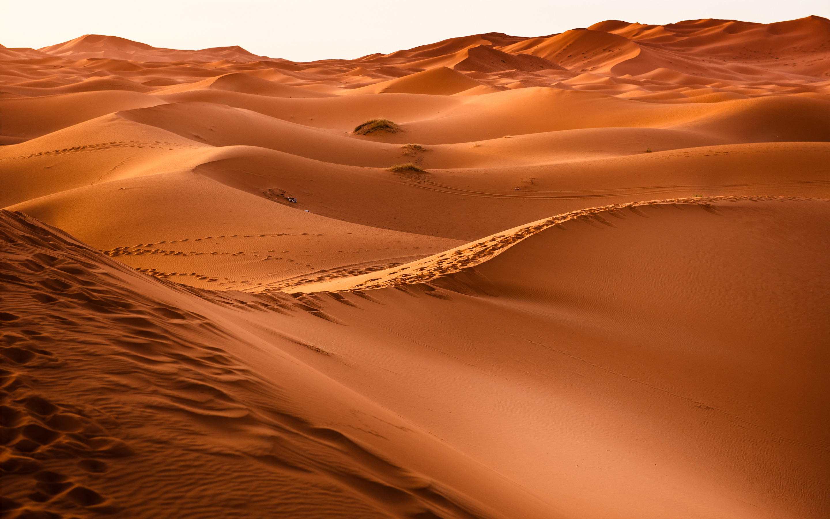 Песок пустыни. обои скачать