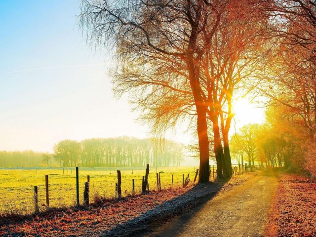 Дорога между забором полем и осенними деревьями с солнечным светом природой