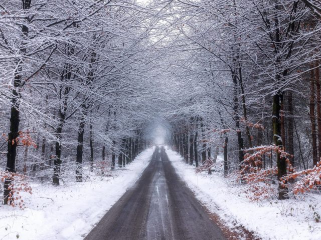 Природа лесная дорога со снегом зимой природа
