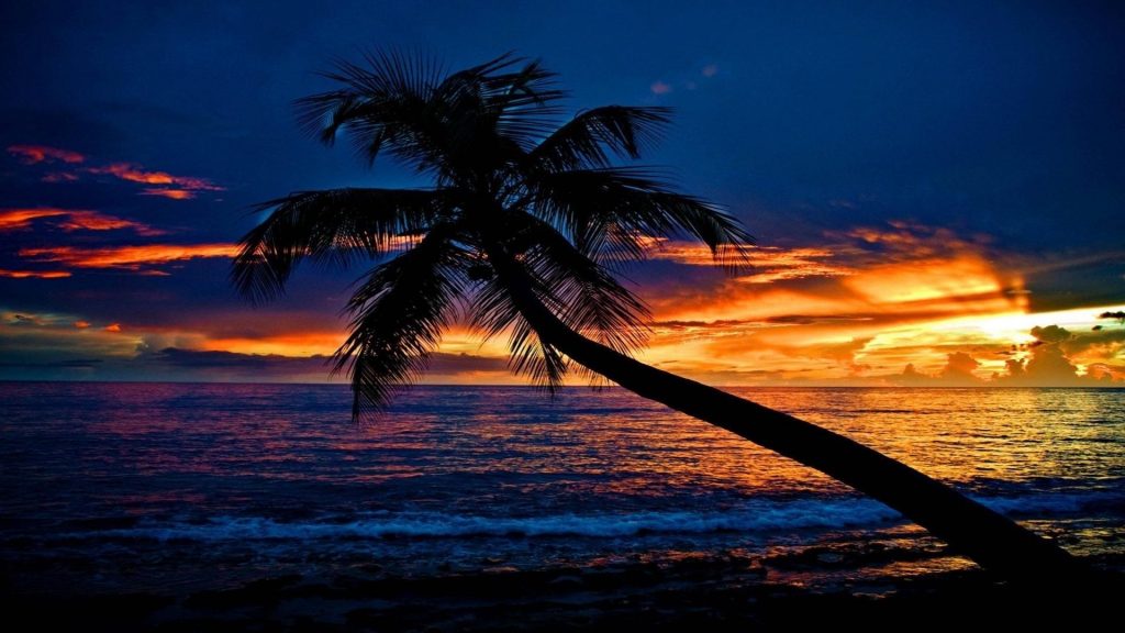 Тропический закат пляж наклонная пальма океанские волны небо облака силуэт фон природа обои скачать