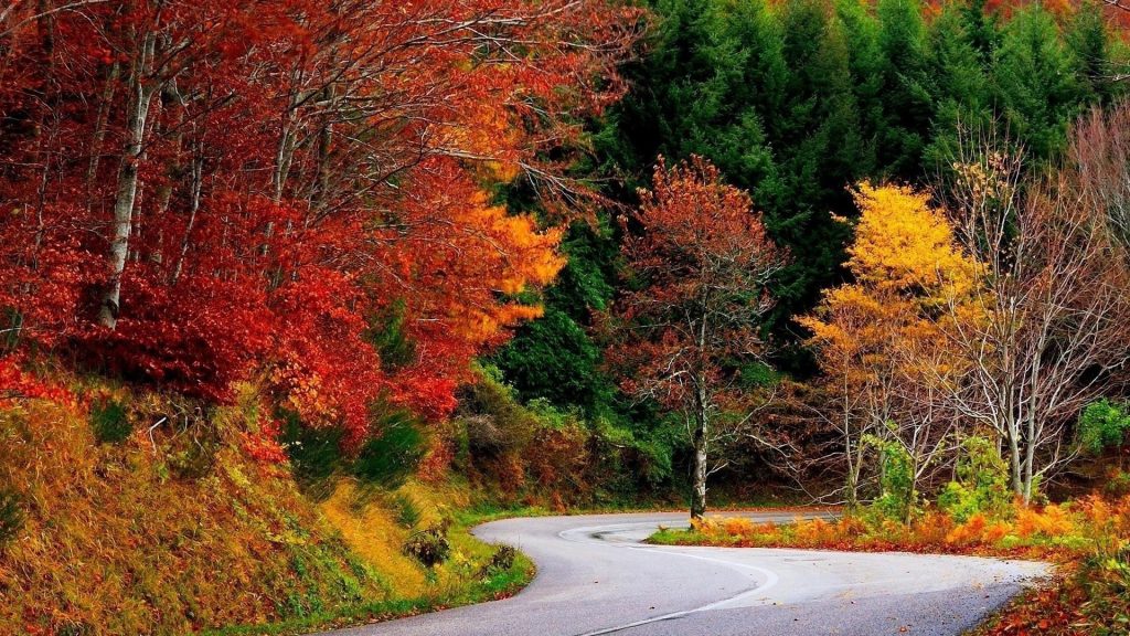 Дорога между красными желтыми оранжевыми зелеными осенними осенними деревьями природа обои скачать