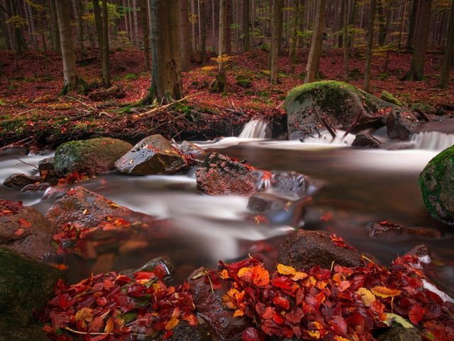 Красивый водный поток между скал в лесной природе