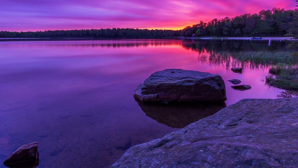Красивый фиолетовый пейзаж вид с отражением деревьев на водной природе обои скачать