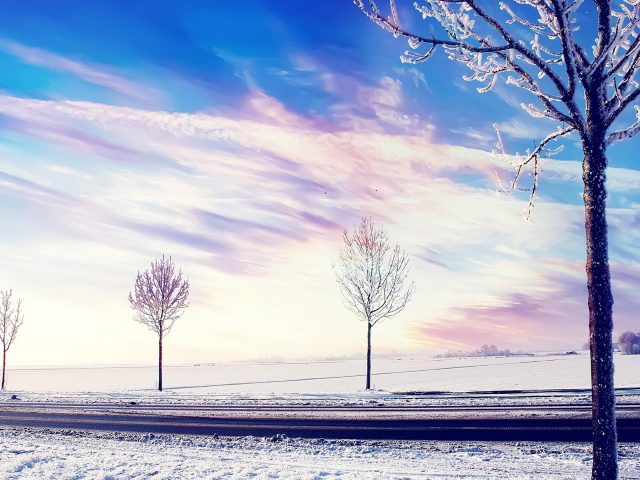 Заснеженные деревья на снежном поле под солнечным небом природа