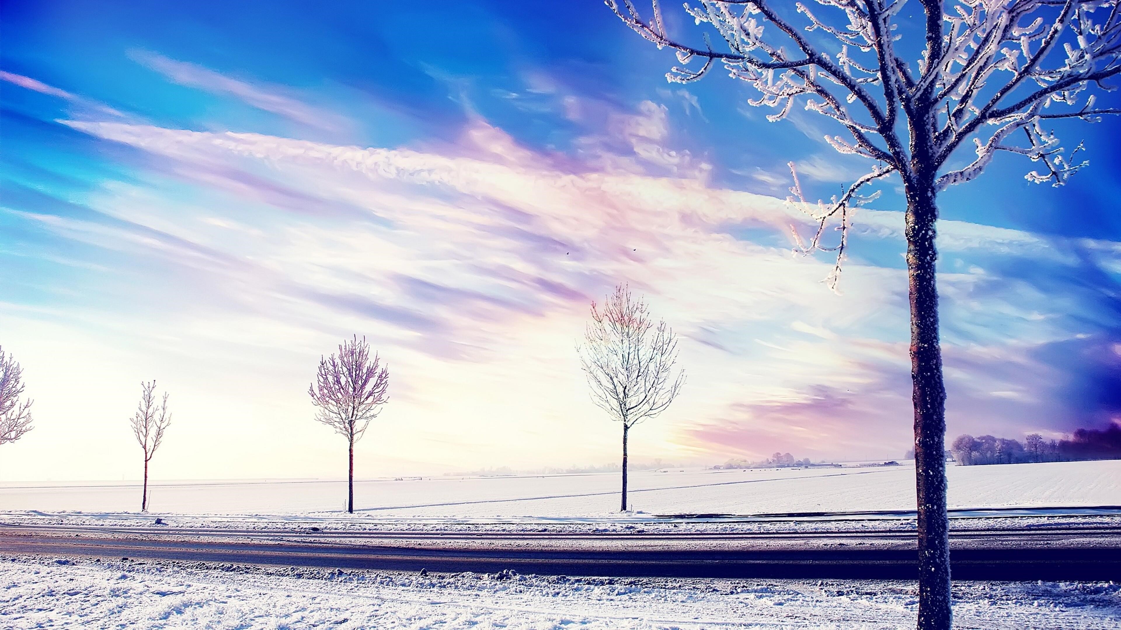 Заснеженные деревья на снежном поле под солнечным небом природа обои скачать